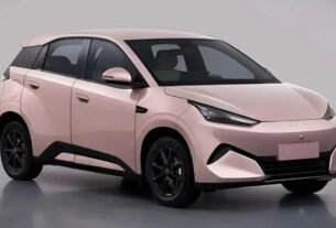 Novo BYD Dolphin Mini em registro de homologação na China