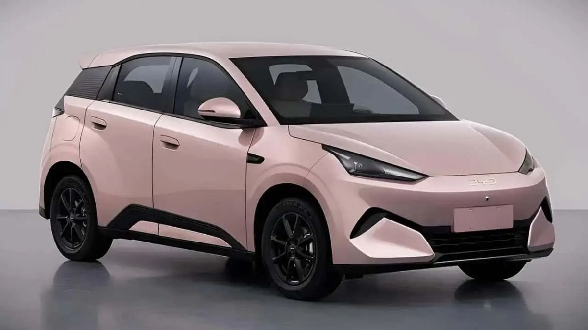 Novo BYD Dolphin Mini em registro de homologação na China