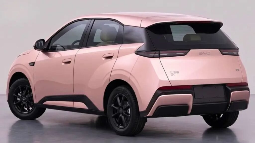 Novo BYD Dolphin Mini visto de traseira em registro de homologação